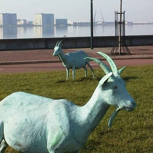 foto-geit.jpg