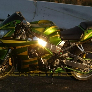 goldgreensc44.jpg