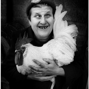 roosterman.jpg