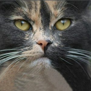 Loeder.jpg