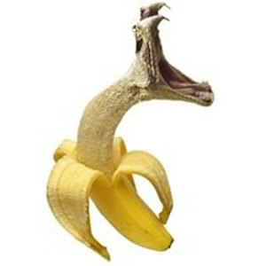 fruitdier.jpg