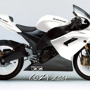 kawazx10 3.jpg