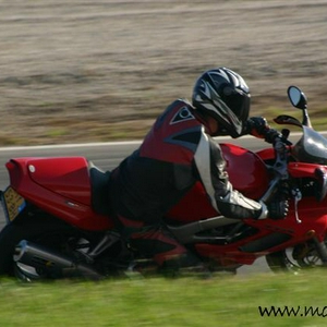 IMG_8908_Small.jpg