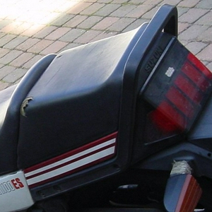 suzukibijwillem.jpg