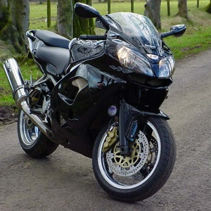 The Black Kwak.jpg