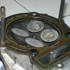 PICT7328.jpg