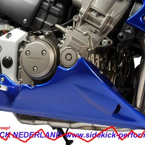 Hornet 900puntbak.jpg