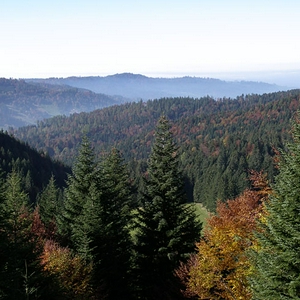 Herfst-05_3.jpg