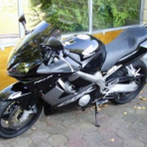 x.bmp