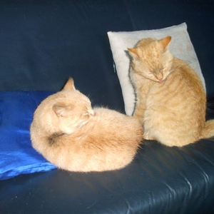 CAM_1301.jpg