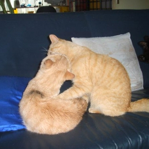 CAM_1302.jpg