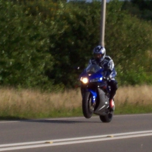 Kopie van spinder1 002.jpg