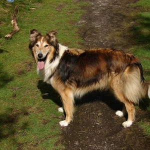 DSC00427.JPG