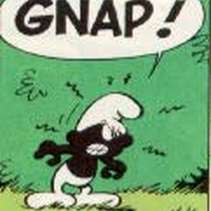 gnap1.jpg