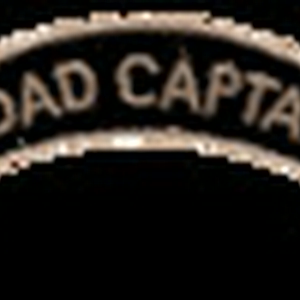 RoadCaptain.gif