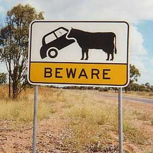 outback.jpg