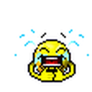 naamloospok.bmp