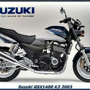 Herschaalde kopie van gsx1400.jpg