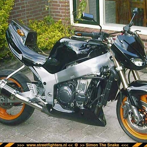 rene02.jpg