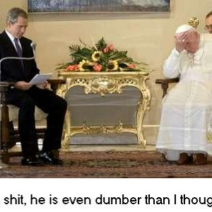 dumb.jpg