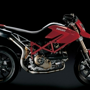 Duc2.JPG