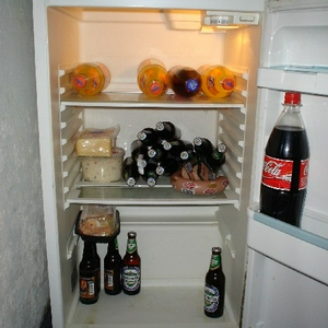 28..the fridge....JPG