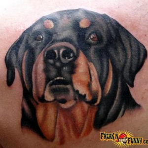 BigDogTattoo.jpg