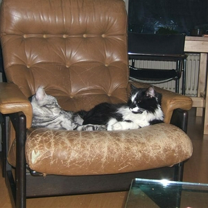 DSCF4305 (Medium).JPG