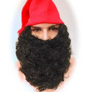 Baard3.jpg