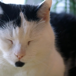 PICT0006.jpg