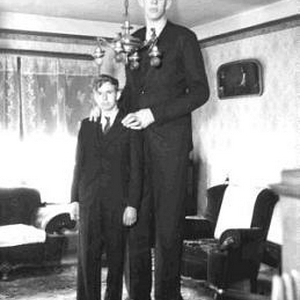 #####wadlow3.jpg