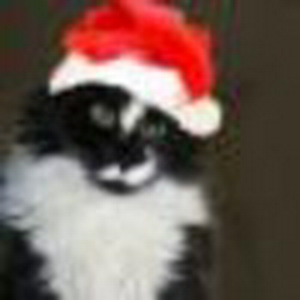 kerst snorro.jpg