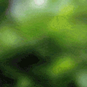 av-59.gif