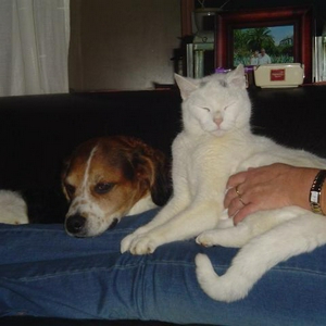 DSC01128.JPG
