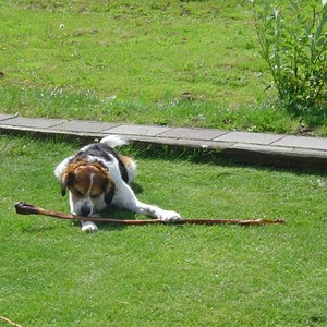 DSC00927.JPG