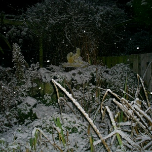 sneeuwrots261205.JPG