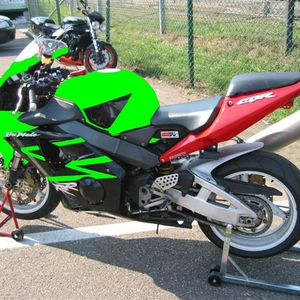 firesaki (Small).JPG