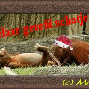 gorweerbezig.jpg
