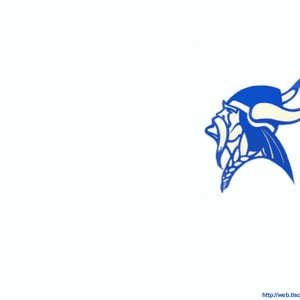 viking 1024x768.gif