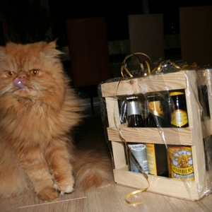 Bierrrrrrrtje.jpg