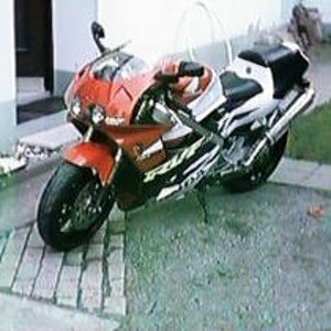 rvf3.jpg