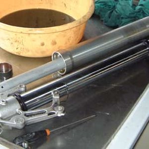 TLseals02.jpg