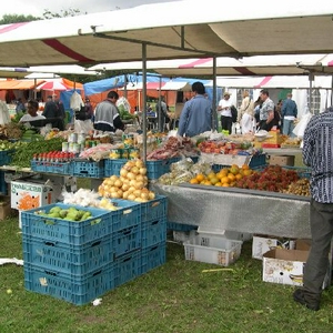 DSCN0523.jpg