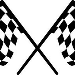checkered flag (small).jpg