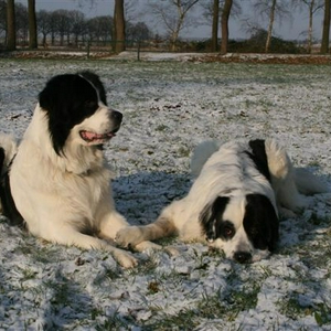 IMG_3230 (Small).JPG