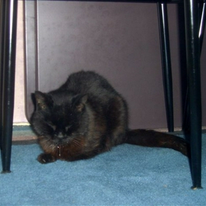 CAM_1670.jpg