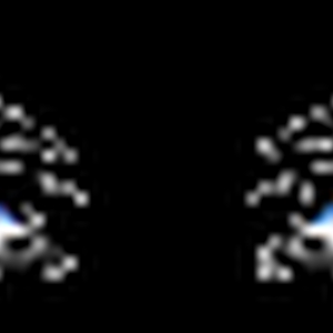 oog1-an.gif