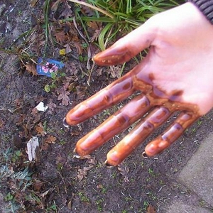 Vies!!!!!!!.JPG