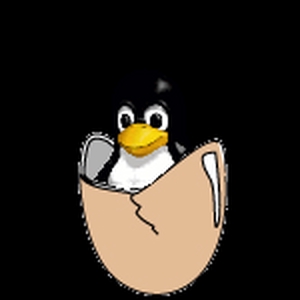 pinguin ei 1.gif