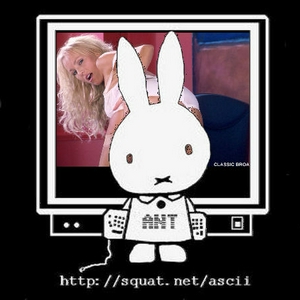 nijntjeascii.jpg
